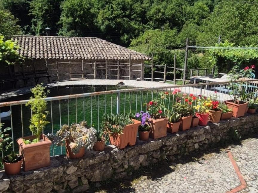 Apartment Umbria Valnerina , Il Tartuffo, Near Spoleto